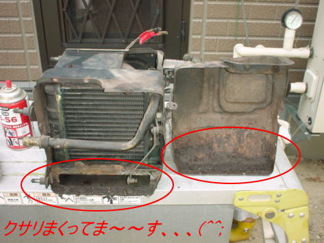 �Ռ��̉f�����̂P