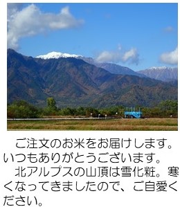 3段紅葉