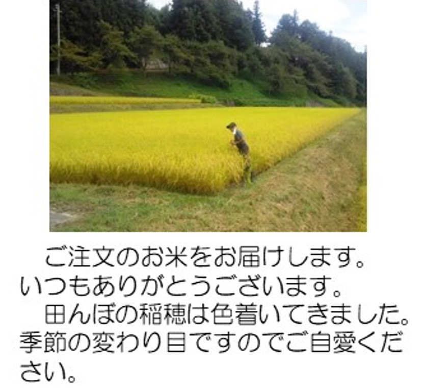 黄金色の田