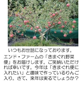 リンゴ