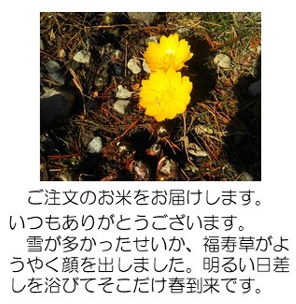 2022福寿草