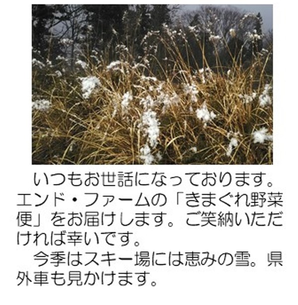新年のあいさつ1