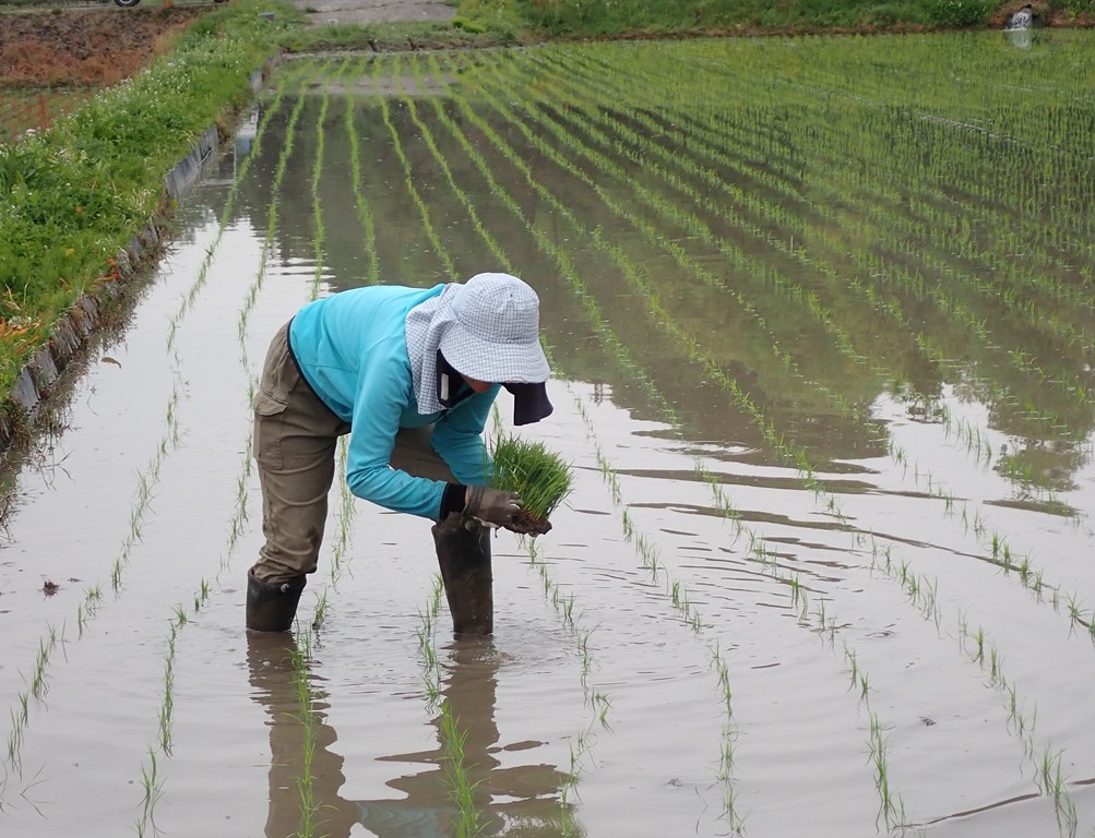 ページトップへ