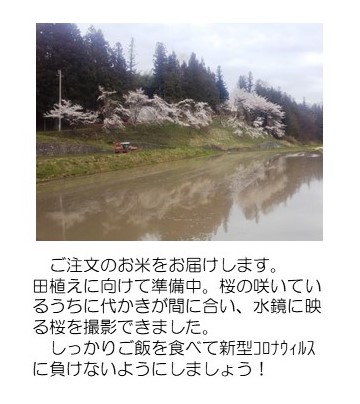 Mizukagami