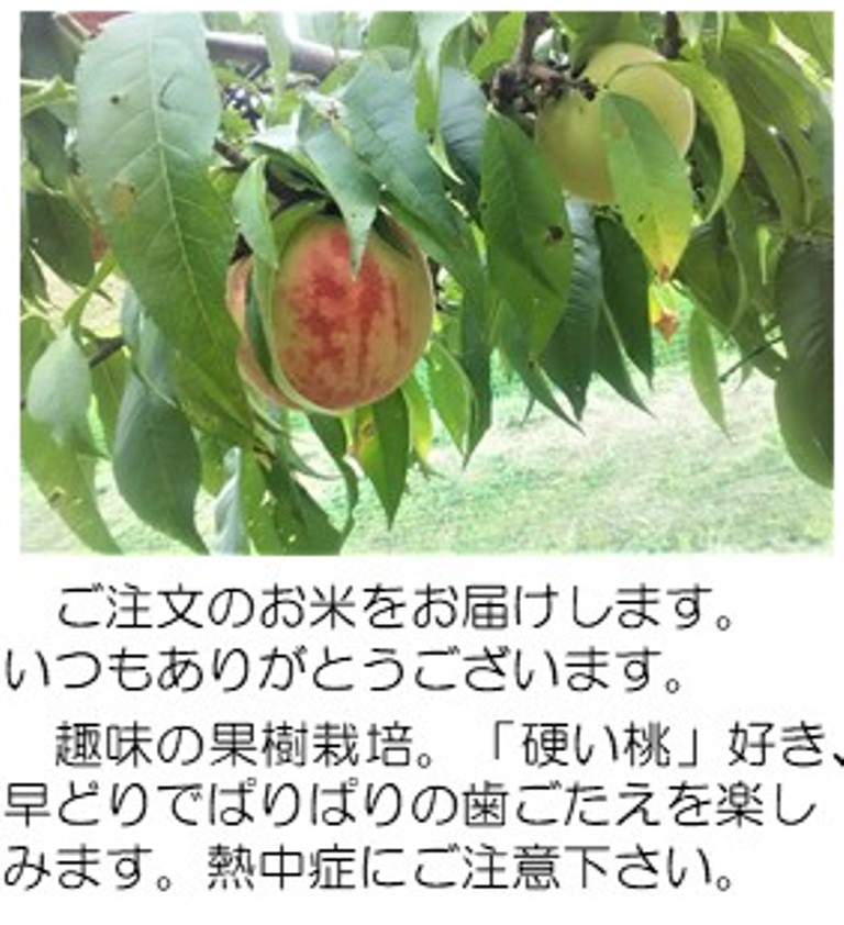 桃