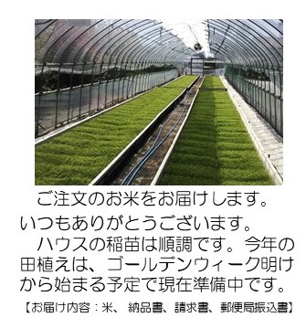 育苗苗