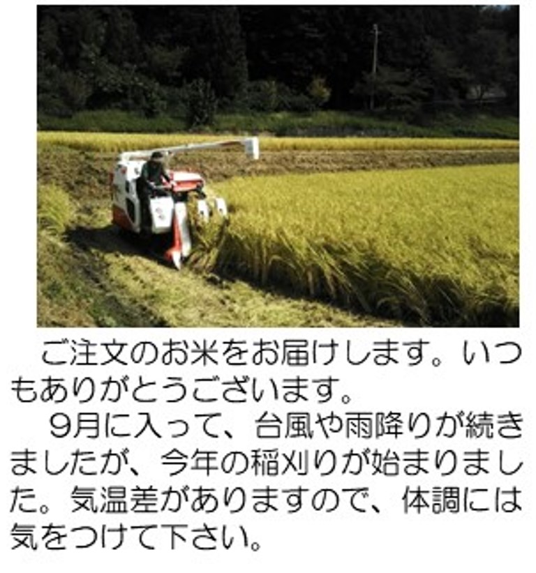 稲刈り