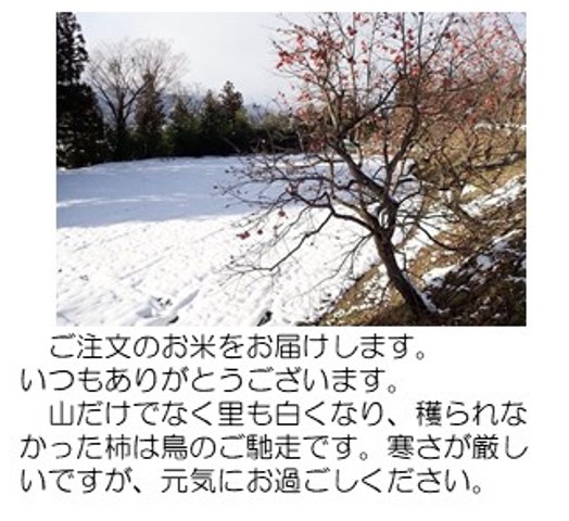 雪と柿