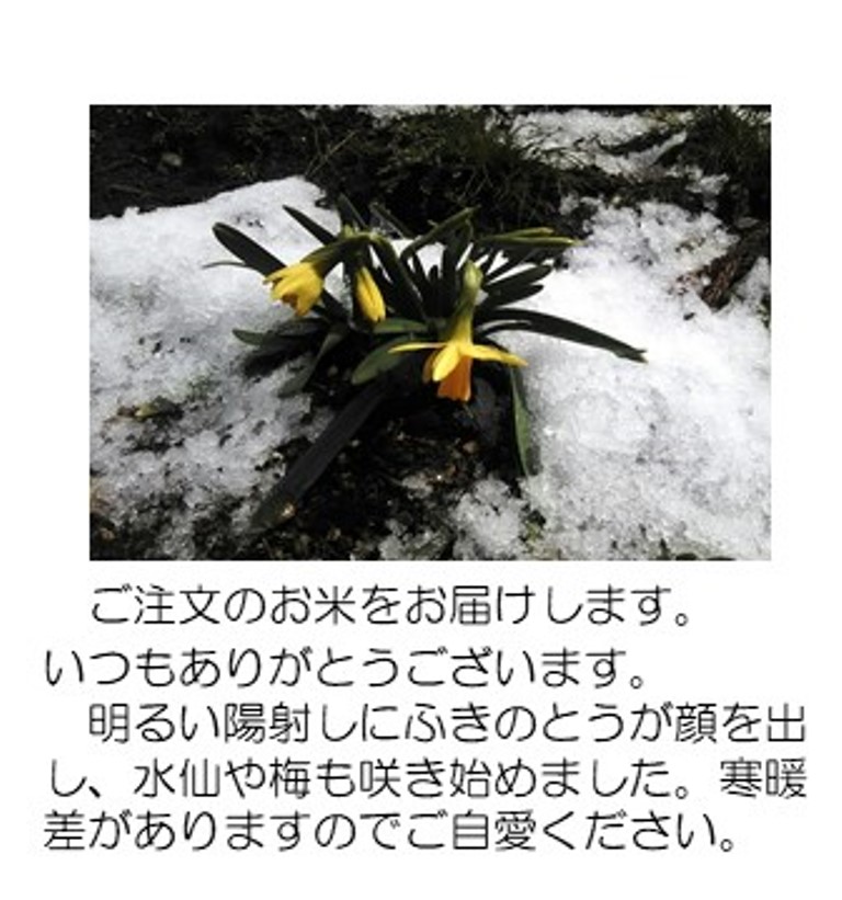 水仙