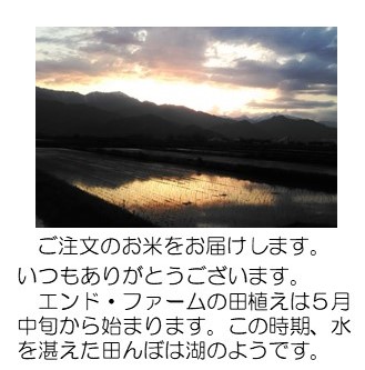 夕焼けと田んぼ