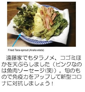 Tempura