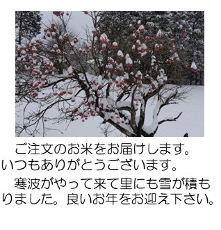雪12