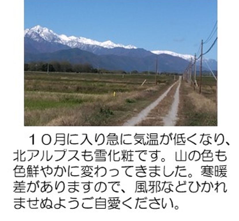 あるぷすIII
