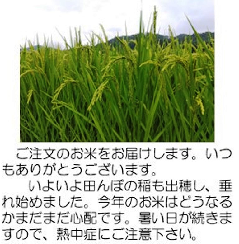 傾穂