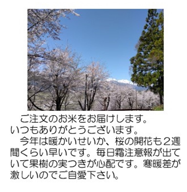 桜411