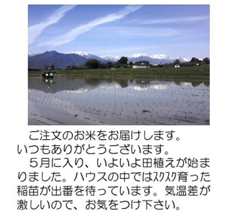 田植え