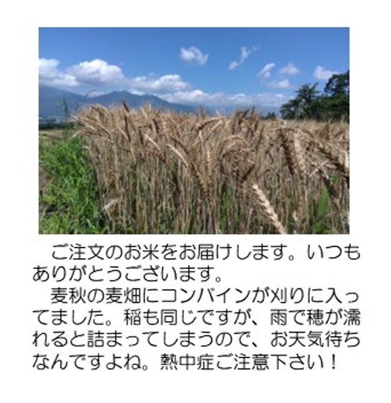 麦秋