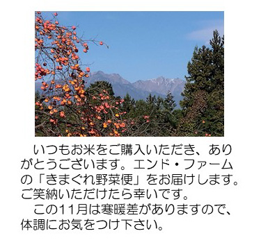 柿と北アルプス