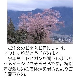 江戸彼岸
