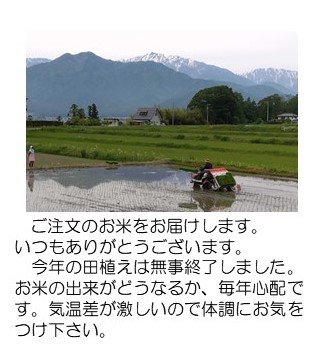 田植え