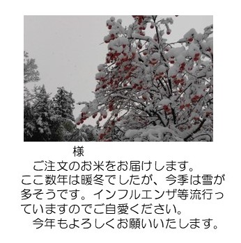 柿と雪