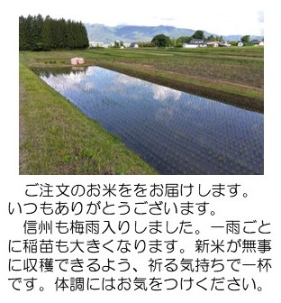 上の田の水鏡