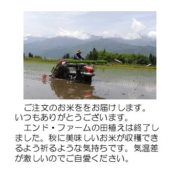 田植え
