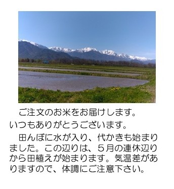 春の田んぼ