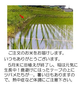 鹿よけ
