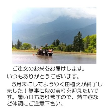 田植え