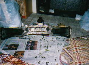 ���X�g�A���̂R