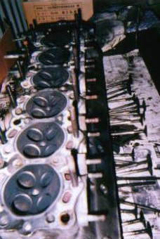 S20�@�w�b�h�@�o���u����