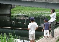 仁科三湖