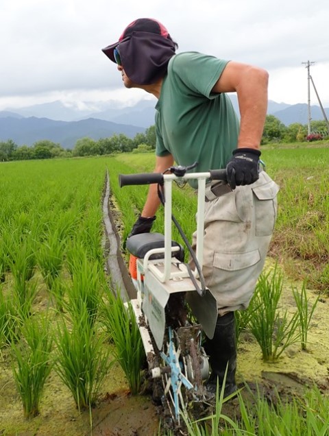 田面ライダー