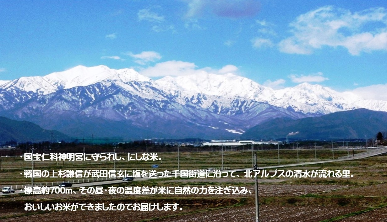にしな米